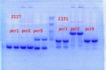 Thumbnail for version as of 15:46, 21 March 2014