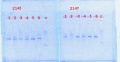 Thumbnail for version as of 14:30, 9 April 2014