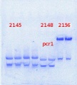 Thumbnail for version as of 14:53, 23 April 2014