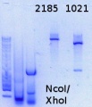 Thumbnail for version as of 17:38, 4 May 2015