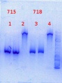 Thumbnail for version as of 15:55, 17 December 2013