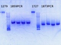Thumbnail for version as of 12:36, 28 October 2013