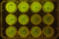 Thumbnail for version as of 10:00, 1 December 2011