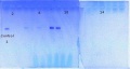 Thumbnail for version as of 10:19, 22 June 2016