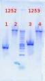 Thumbnail for version as of 13:17, 20 July 2012