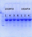 Thumbnail for version as of 16:28, 10 October 2014