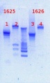 Thumbnail for version as of 14:08, 29 January 2013