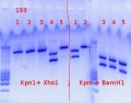 Thumbnail for version as of 17:51, 4 September 2011