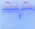 Thumbnail for version as of 10:19, 15 January 2014