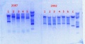 Thumbnail for version as of 14:42, 4 March 2014