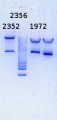 Thumbnail for version as of 18:13, 20 November 2014
