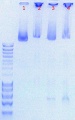 Thumbnail for version as of 16:58, 14 September 2011