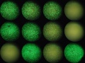 Thumbnail for version as of 18:42, 15 November 2011