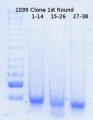 Thumbnail for version as of 16:32, 16 April 2015