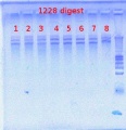 Thumbnail for version as of 13:28, 23 July 2012