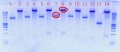 Thumbnail for version as of 16:51, 21 August 2012