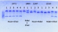Thumbnail for version as of 14:50, 10 July 2014
