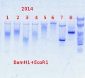 Thumbnail for version as of 09:49, 14 March 2014