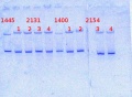 Thumbnail for version as of 11:56, 26 March 2014