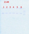 Thumbnail for version as of 11:05, 24 April 2014