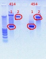 Thumbnail for version as of 16:18, 15 December 2011