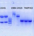 Thumbnail for version as of 14:17, 26 January 2015