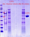 Thumbnail for version as of 13:35, 9 November 2012
