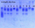 Thumbnail for version as of 12:50, 1 April 2013