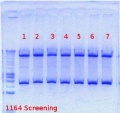 Thumbnail for version as of 12:04, 25 July 2012