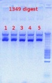 Thumbnail for version as of 16:23, 7 September 2012