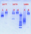 Thumbnail for version as of 12:36, 6 March 2013