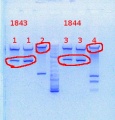 Thumbnail for version as of 13:53, 9 September 2013