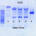 Thumbnail for version as of 16:09, 7 July 2014