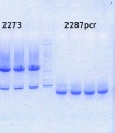 Thumbnail for version as of 12:36, 5 August 2014