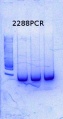 Thumbnail for version as of 17:20, 28 July 2014
