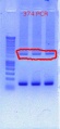 Thumbnail for version as of 14:28, 15 November 2011