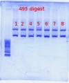 Thumbnail for version as of 14:19, 19 April 2012