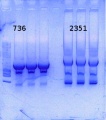 Thumbnail for version as of 14:27, 13 October 2014