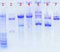 Thumbnail for version as of 15:58, 27 June 2011