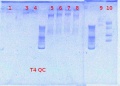 Thumbnail for version as of 15:36, 3 January 2013