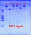 Thumbnail for version as of 15:16, 15 March 2012
