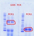Thumbnail for version as of 10:08, 15 May 2012