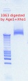 Thumbnail for version as of 14:56, 20 April 2012