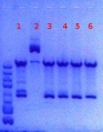 Thumbnail for version as of 14:06, 12 June 2012