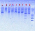Thumbnail for version as of 13:14, 3 August 2012