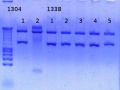 Thumbnail for version as of 16:26, 14 November 2012