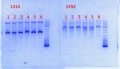 Thumbnail for version as of 17:25, 14 January 2014