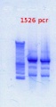Thumbnail for version as of 10:21, 21 December 2012
