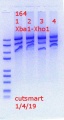 Thumbnail for version as of 16:41, 4 January 2019