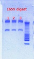 Thumbnail for version as of 12:58, 22 February 2013